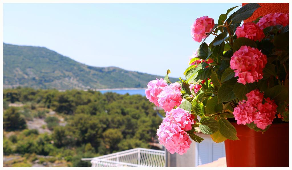 Villa Marica Primosten Bagian luar foto
